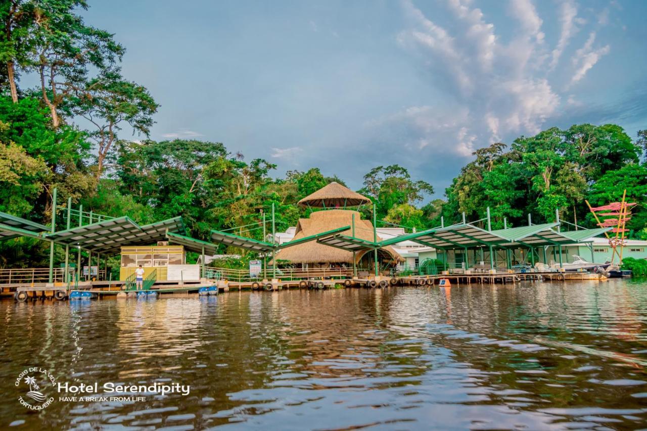 Hotel Serendipity ตอร์ตูเกโร ภายนอก รูปภาพ