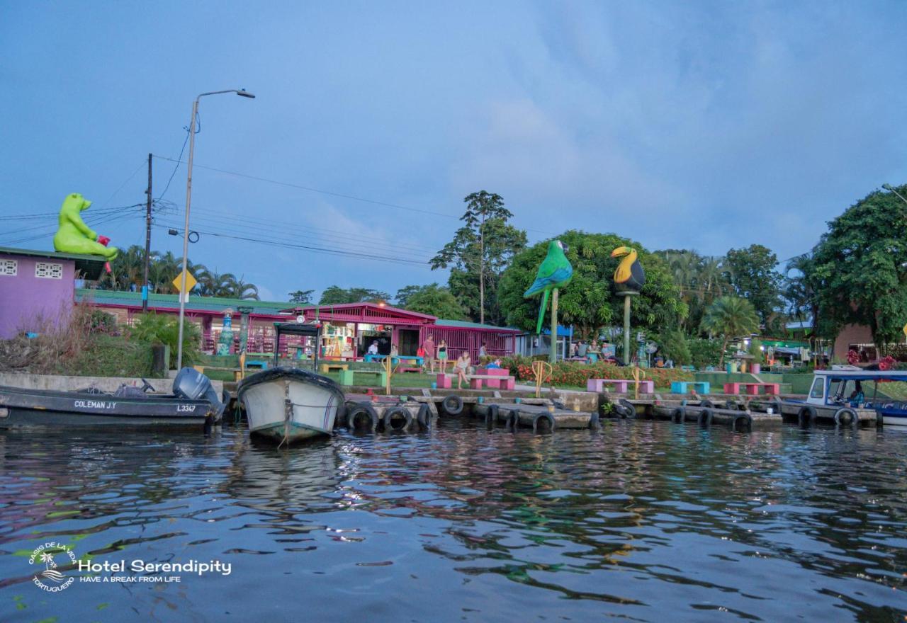 Hotel Serendipity ตอร์ตูเกโร ภายนอก รูปภาพ